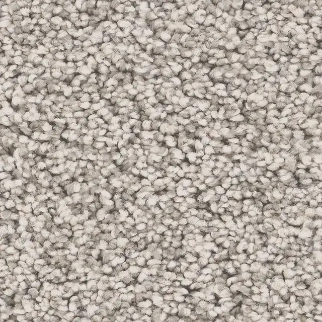 London Fog carpet flooring swatch